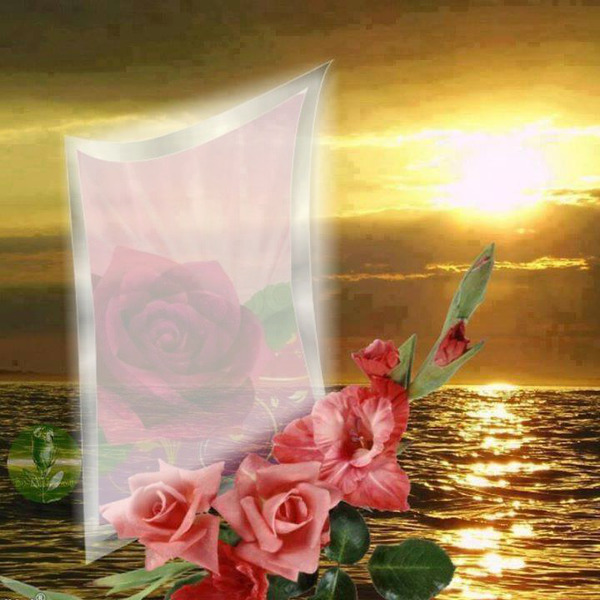 rose Photo frame effect