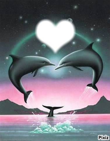 Les dauphin de l'amour ! Montage photo