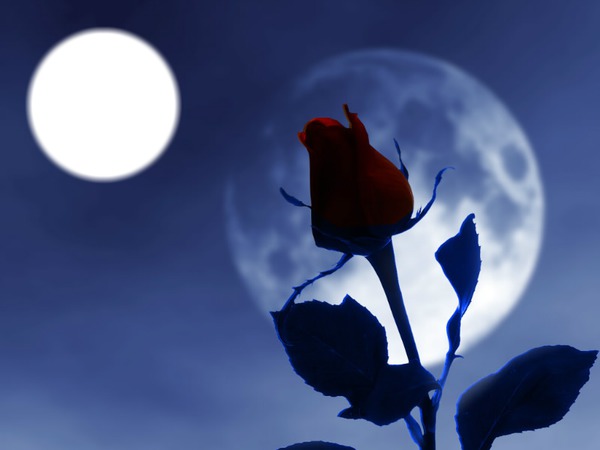 rose sous la lune Фотомонтаж