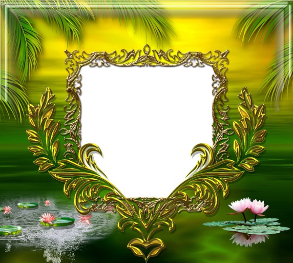 Cadre doré - lotus - palmier Photo frame effect