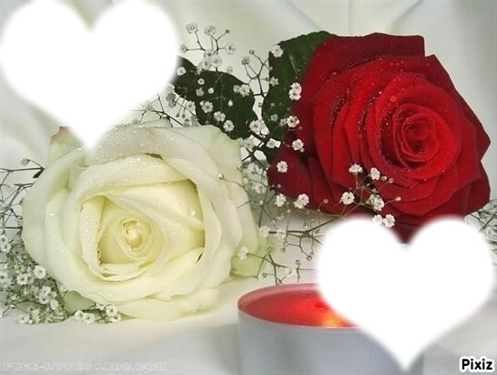 rose blanche & rouge Фотомонтаж