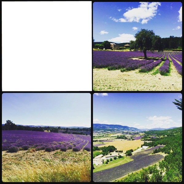 Provence フォトモンタージュ