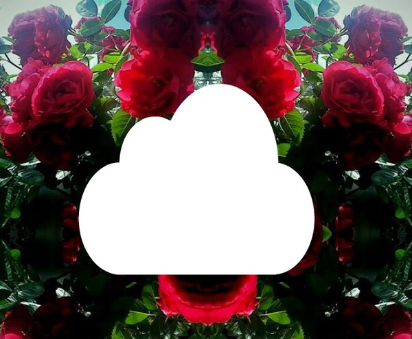 cadre roses Photo frame effect