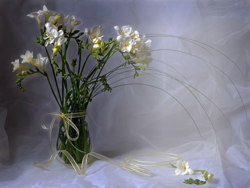 kwiaty Montaje fotografico