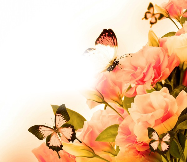 rosas e borboletas Fotomontasje