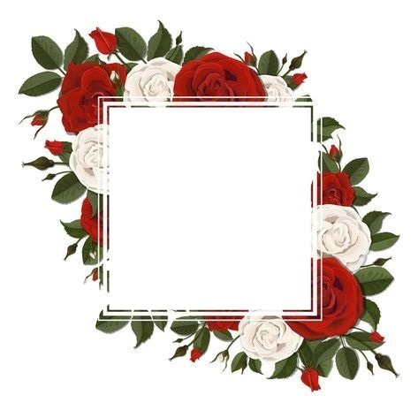 marco sobre rosas rojas y blancas. Fotomontagem