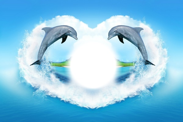 Dauphins Photo frame effect
