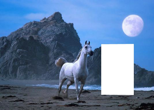 cheval vlanc Фотомонтажа