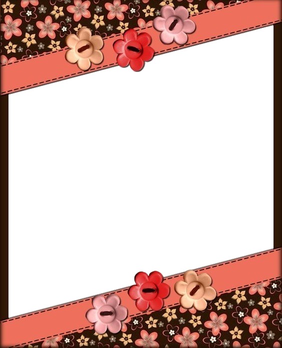 marco rosado y flores de botones. Valokuvamontaasi