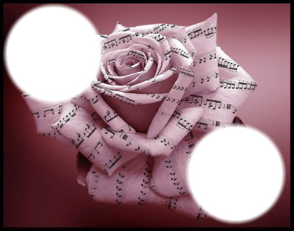 rose musicale Fotómontázs