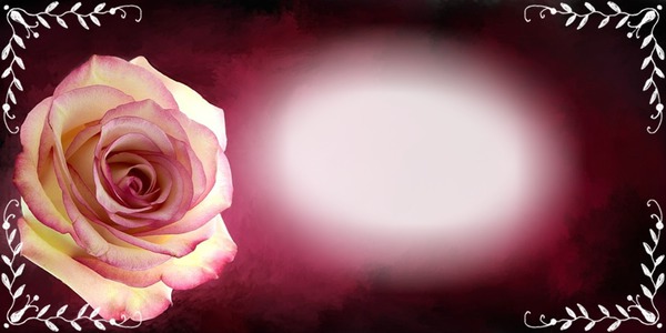 eine Rose für dich Fotomontage