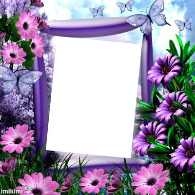 laly Photo frame effect