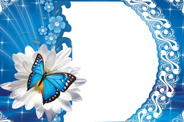 borboleta azul Fotomontagem