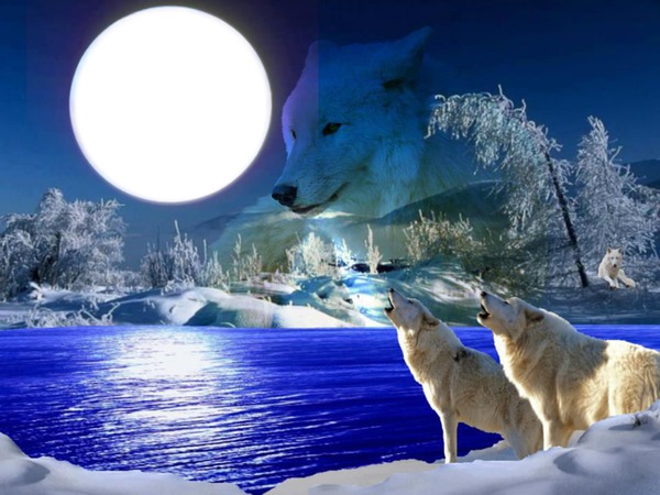 loup lune amour Montaje fotografico