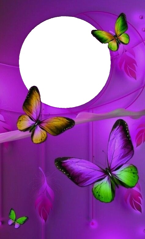 mariposas y marco lila. Fotomontage