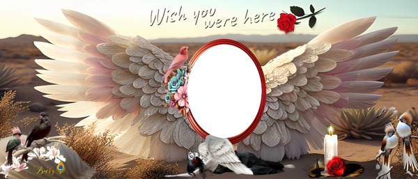 wish you where here Montage photo