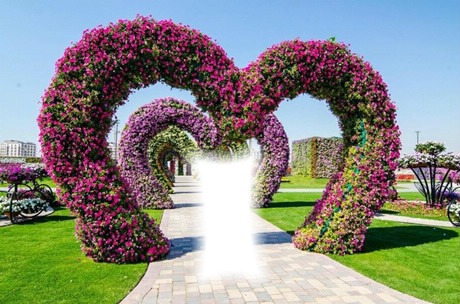 Arcos de corazones con flores Photo frame effect