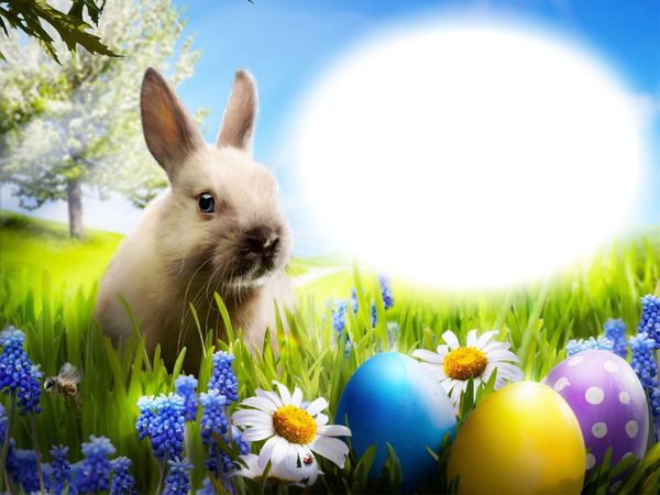 Happy easter Photo frame effect