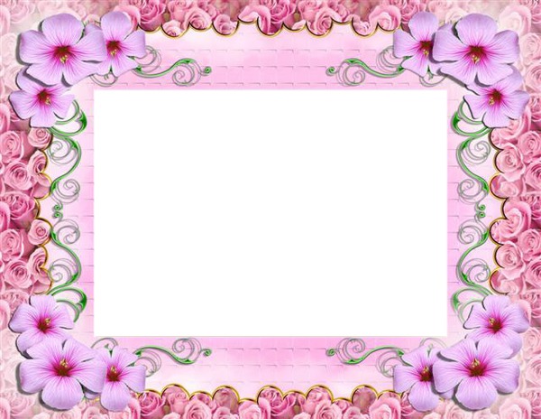 Pink flowers frame Photo frame effect