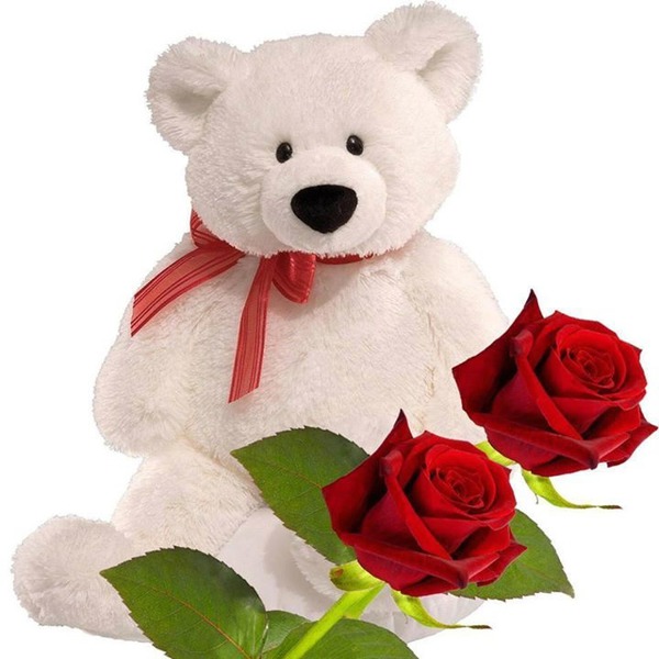 ours peluche blanc avec 2 roses 2 photos Фотомонтаж
