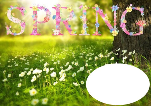 spring time Photo frame effect