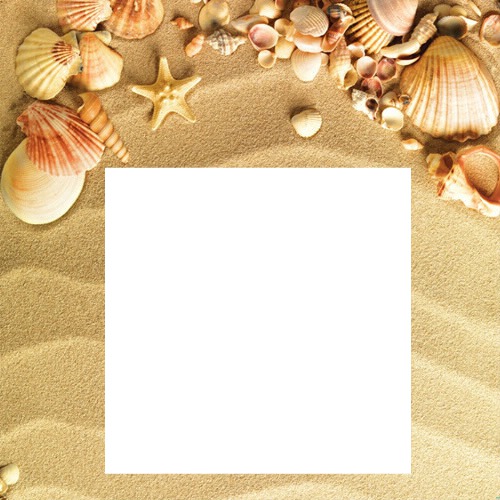 1-sea shells-hdh Photo frame effect