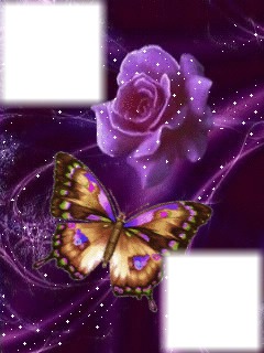 les fleurs et papillons Montage photo