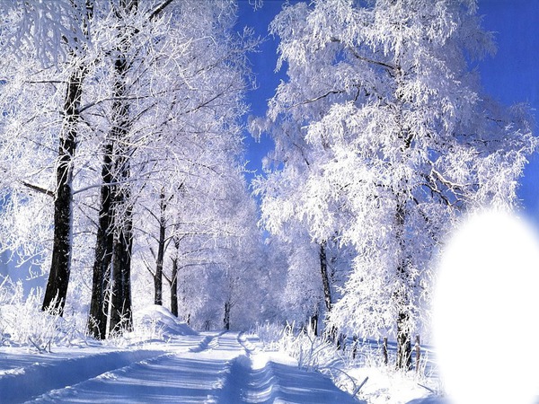 winter road Fotomontažas
