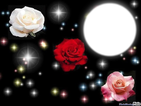 *3 ROSES* Montage photo