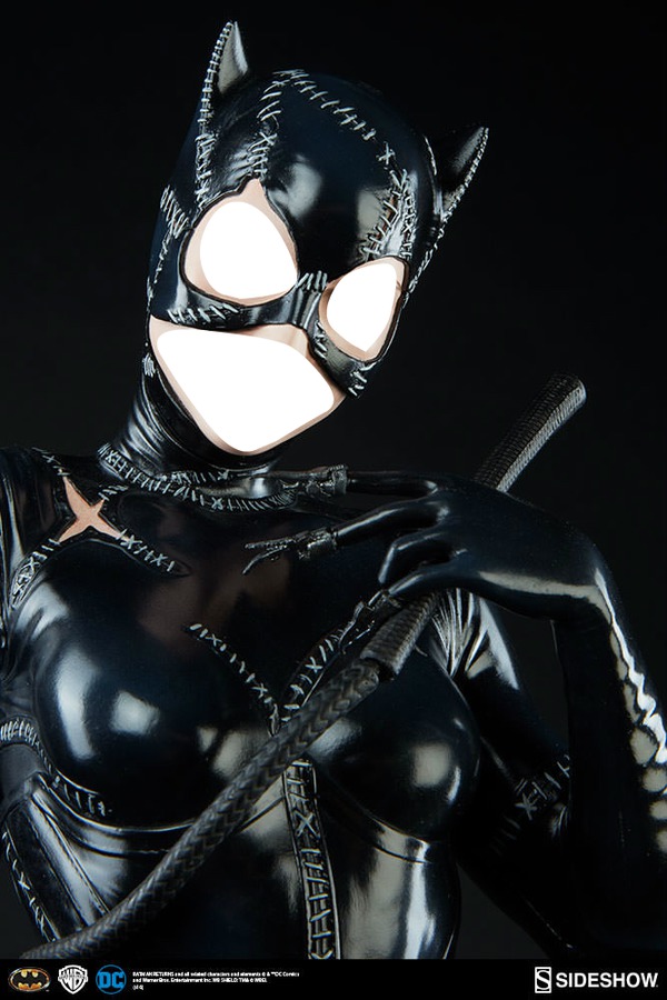 catwoman Montage photo