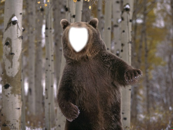 oso en sordo gordo Fotomontaż