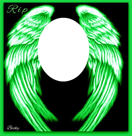 green wings Photo frame effect