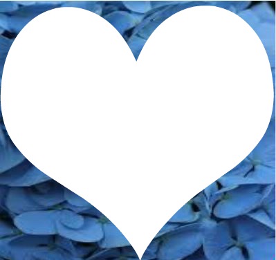 coeur fleurs bleu フォトモンタージュ