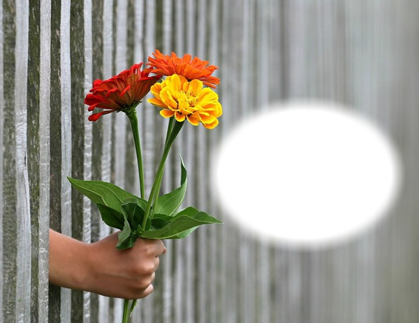 Bouquet de fleurs-cadeau-donner Photomontage