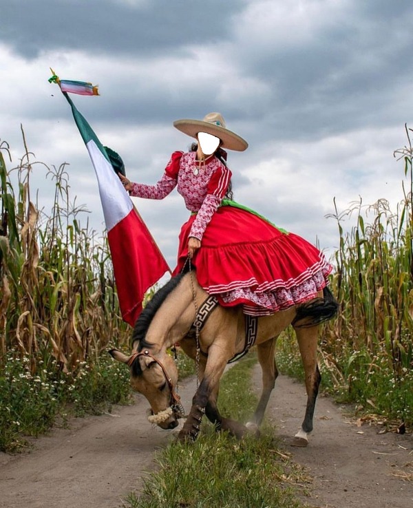renewilly chica mexicana con bandera Fotomontaggio