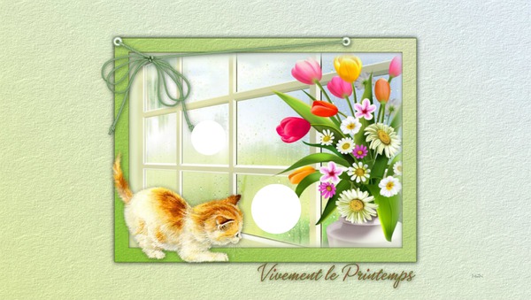 Vivement le printemps Fotoğraf editörü