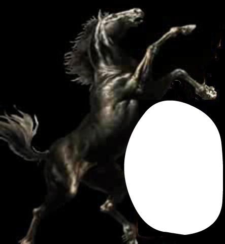 mon cheval Valokuvamontaasi