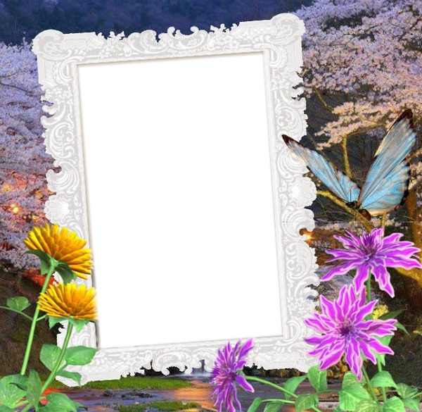 cadre Photo frame effect Pixiz