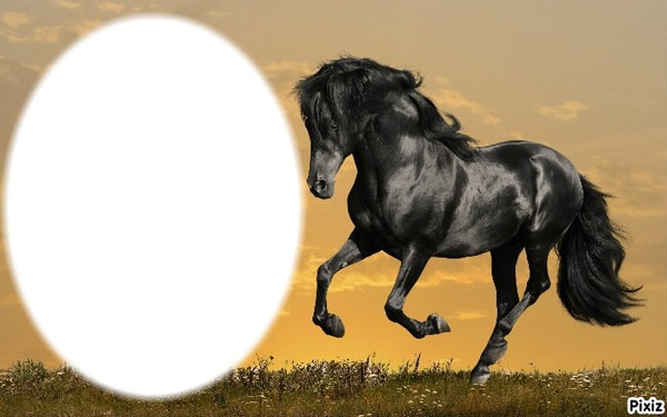 horse Fotomontasje