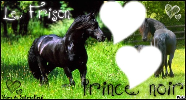love chevaux Fotomontage