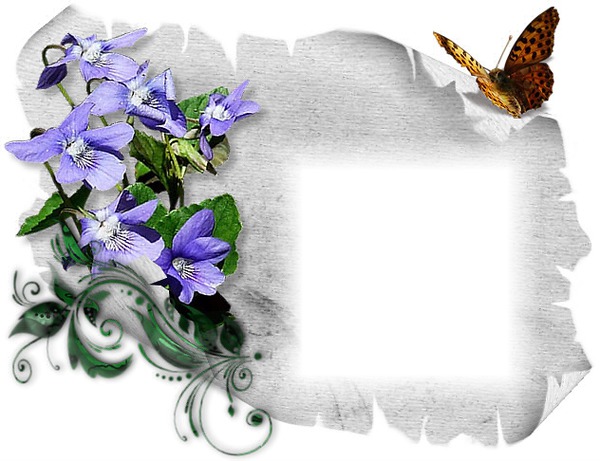 Fleur mauve-papillon-parchemin Photomontage