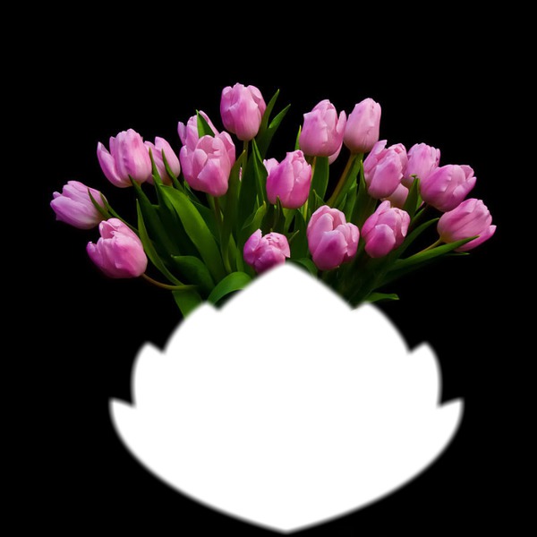 tulipes Fotomontáž