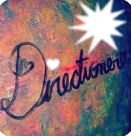 directioner forever Montage photo