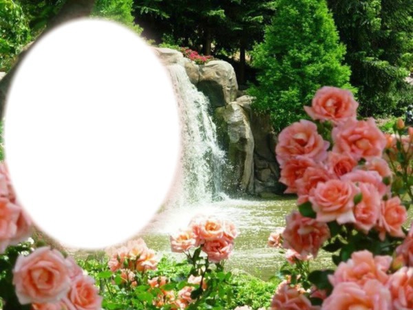 Cadre cascade avec des roses roses Fotomontaż