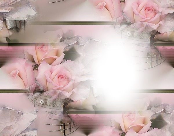 Les roses Montage photo