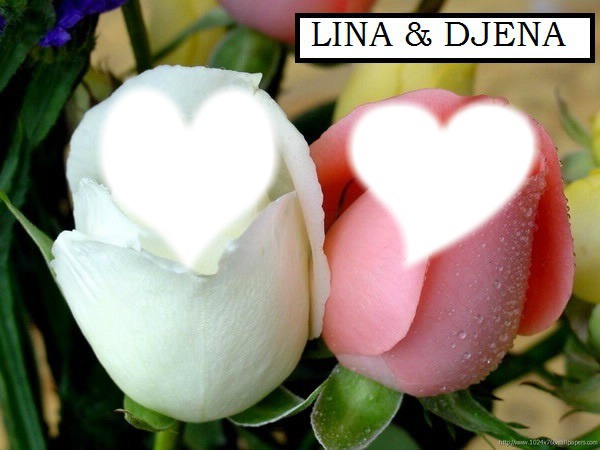 LINA &DJENA Fotomontaż