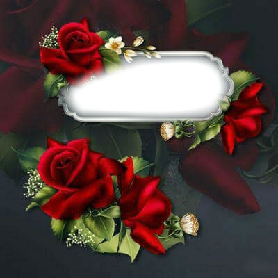 red roses bb Photo frame effect