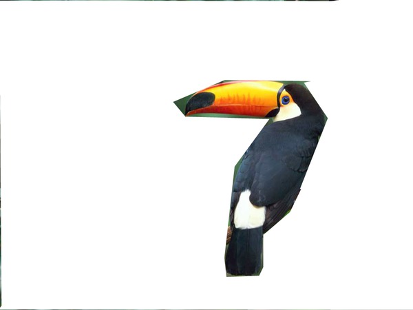 Cadre toucan Montage photo