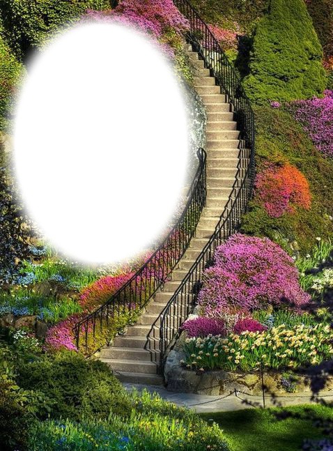 Escalier-fleurs-jardin Montage photo
