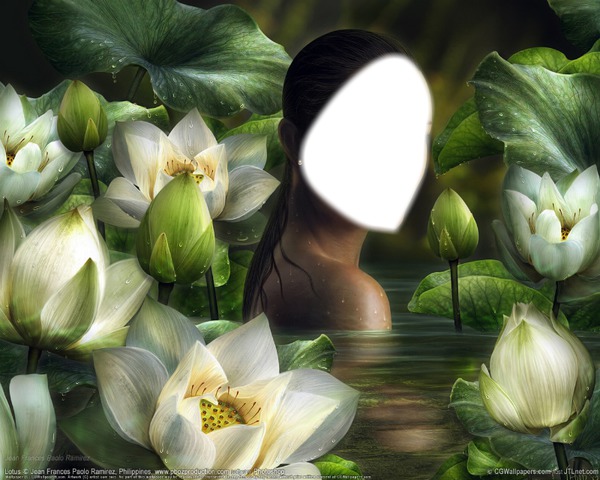 lotus Fotomontasje